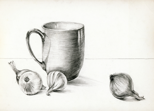 Pencil drawing of a still life with a mug and onions