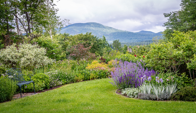 Garden with flowers, purple sage, lawn and mountains in the background