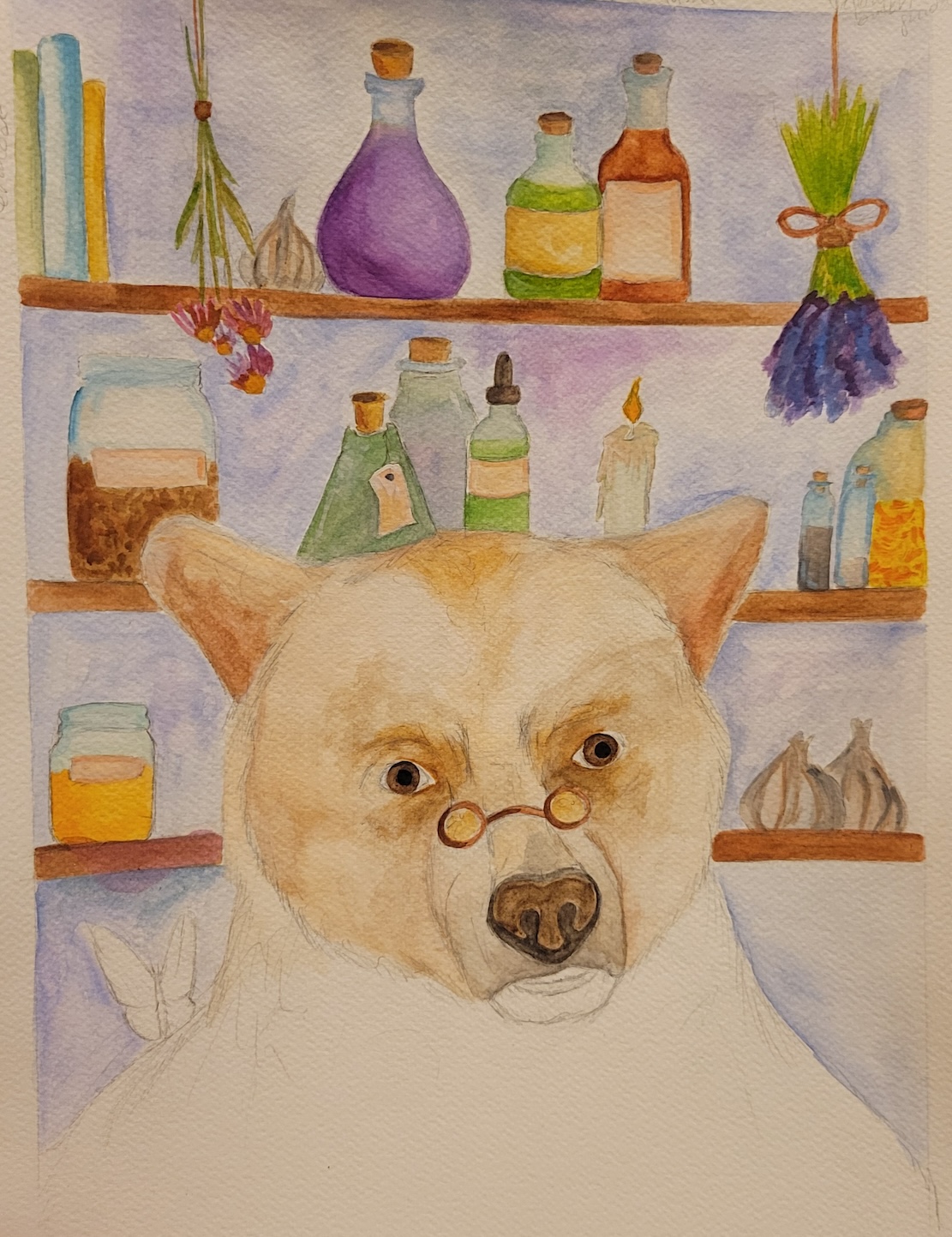 Watercolor illustration of apothecary bear